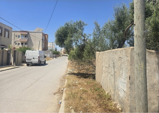 Deux Terrains Constructibles D'habitation En Vente - Bien immobilier à {"id":20,"country_id":219,"name":"SOUSSE","slug":"sousse"} - Image 3 - Société Immobilière Touristique - Agence Immobilière Société Immobilière Touristique